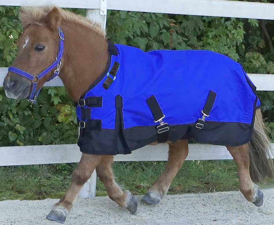 Mini/Pony 1200 Denier Adjustable Neck Waterproof Turnout Sheet - color: Royal Blue, size: 42 - 46