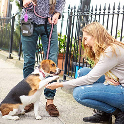 JSXD Dog Leash,5 FT Heavy Duty Double Handle Dog Leash with Comfortable Padded and Reflective,Rope Dog Leashes for Small,Medium,Large Dogs (Wide-Pink) - color: Wide-Pink