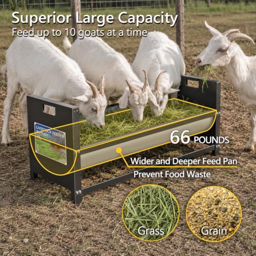 Portable Livestock Feeder 15 Gallons Capacity