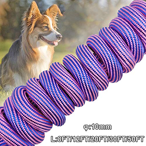 12FT Dog Tie-Out Rope + Bungee Dog Leash Extension