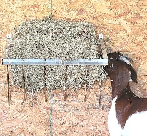 24 Inch Wall Mounted Sheep & Goat Two Flake Hay Feeder USA Texas Made Quality Aluminum