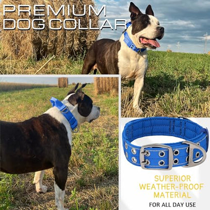 ADITYNA Heavy Duty Dog Collar for Medium Dogs with Traffic Handle - color: Royal Blue, size: Medium: Fit 15-19" Neck