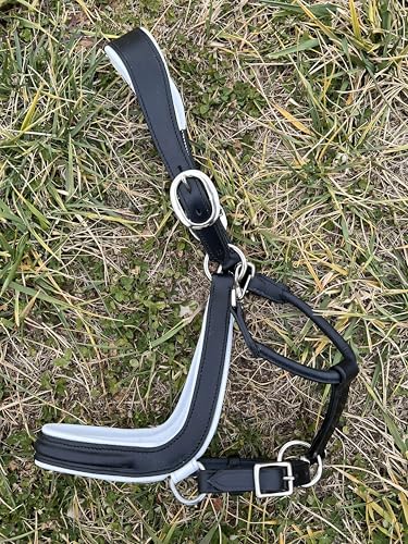 Leaders Padded Curved Leather Halter with Customized Engraved Name Plate Ergonomic Leather Halter for Horses - size: Horse Size Black/White