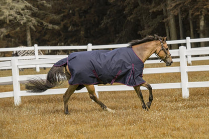 TuffRider 600 D Comfy Winter Turnout Blanket Medium Weight 200 GSM Standard Neck - color: Navy, size: 75
