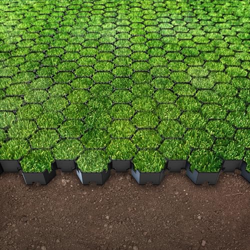 Vodaland Permeable Pavers - HexPave Grass & Gravel Permeable Paver System - 100% Recycled PPE Plastic Pavers, Handles 27,000 lbs, 1" Depth, 1450 s.f / 488 Units - size: 1450 Sq Ft