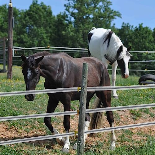 Electric Fence Poly Tape Horse Fencing Tape 656 Feet 200m, 2 Inch 50mm Width, 12 x 0.18mm Stainless Steel Conductors, White and Gray
