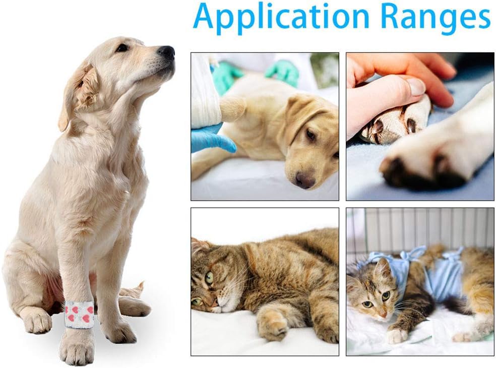 6 Rolls Vet Wrap Tape Bulk 1 Inch, Self Adhesive Bandage Wrap | Waterproof Grip Tape for Horses Dogs Cats Pets,who was injure/Have Wounds(Love, Horse, Leopard Print, cat Cartoon pattern)