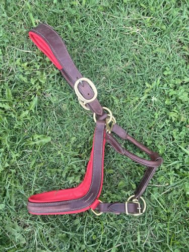 Leaders Padded Curved Leather Halter with Customized Engraved Name Plate Ergonomic Leather Halter for Horses - size: Horse Brown/Red