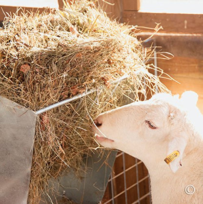 Premier 1 Grain & Hay Feeder | Hang over panels or gates via L-hooks. Reduces waste. Metal construction won't crack or fade. For sheep & goats.