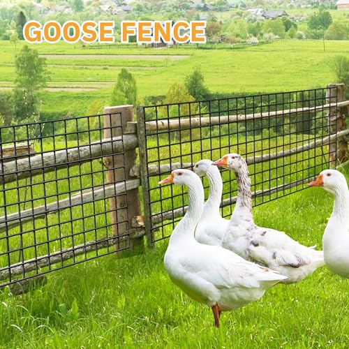 PVC Coated Welded Wire Fencing,2"x2" 14GA Coated (16GA Bare),48inch H x 100ft L Garden Wire Fence Roll,2/3/4/5/6ft Tall x 100 ft Long Vinyl Coating Metal Wire Mesh for Yard,Farm,Dog,Vegetable - color: Black, size: 14GA 2x2 48"x100'