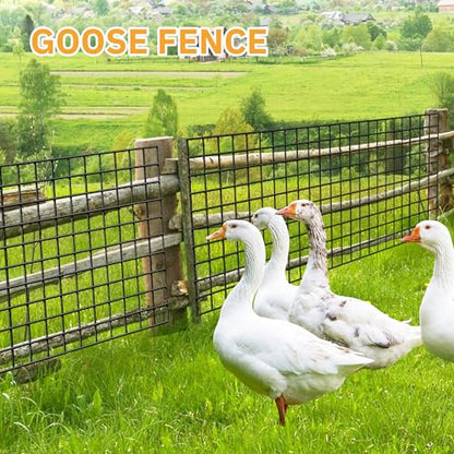 PVC Coated Welded Wire Fencing,2"x2" 14GA Coated (16GA Bare),72inch H x 100ft L Garden Wire Fence Roll,2/3/4/5/6ft Tall x 100 ft Long Vinyl Coating Metal Wire Mesh for Yard,Farm,Dog,Vegetable - color: Black, size: 14GA 2x2 72"x100'