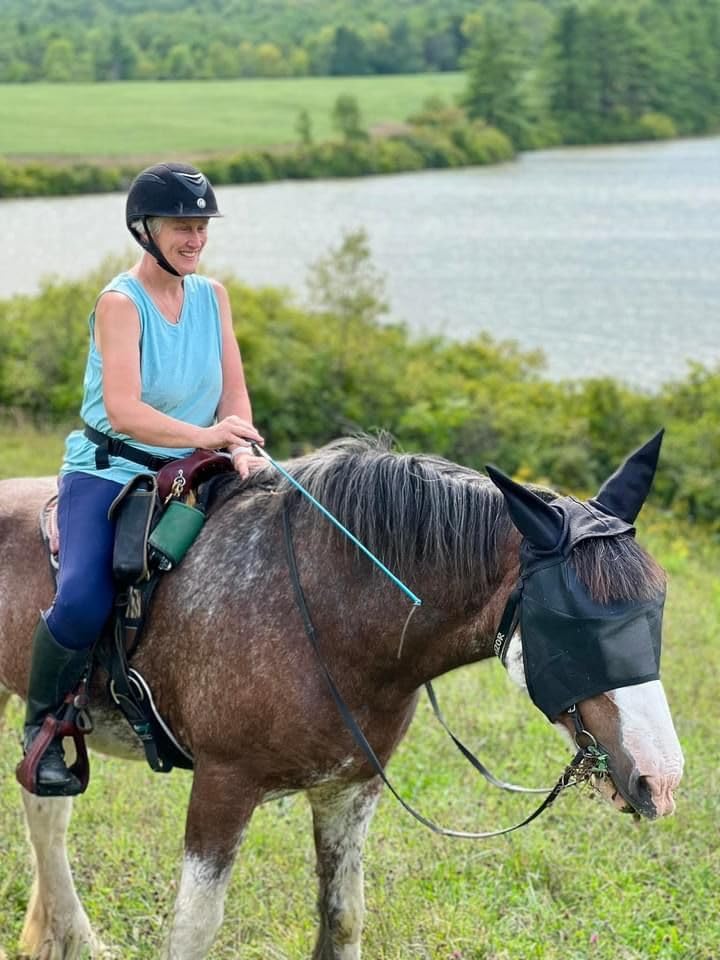 EquiVizor 95% UV Eye Protection (XL) Horse Fly Mask with Ears. Designed to Stay On Your Horse, Off The Ground - size: X-LARGE