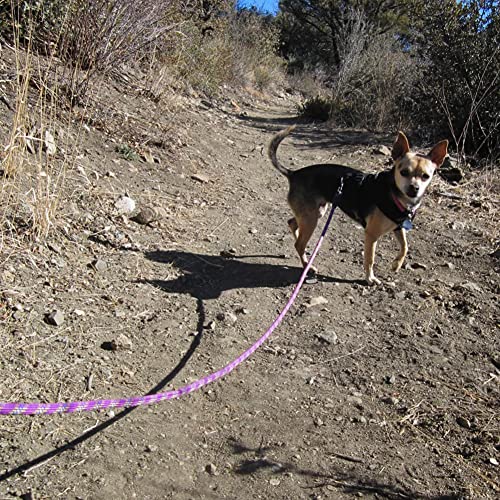 MayPaw Heavy Duty Rope Dog Leash, 6/8/10/15/20/30FT Long Nylon Pet Leash, Soft Padded Handle Thick Lead Leashes for Large Medium Dogs (Purple, 1/2" * 10') - color: purple, size: 1/2" * 10'