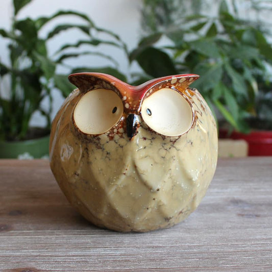 3.9 Inch Cute Ceramic Owls Succulent Garden Pots w/Pottery Quality Finish, Cute Planting Pot, Indoor Plant Pot for Flowers & Herbs，Home Desktop Office Windowsill Decoration Gift. - color: Color 1