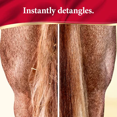 Absorbine ShowSheen Hair Polish & Detangler, 32 fl oz Refill Quart Bottle | Mane & Tail, Pro-Vitamins, Silk Proteins, Lustrous Shine, Reduces Hair Breakage, Promotes Longer Healthy Hair, Horses & Dogs - size: 32 fl oz Refill (No Sprayer)