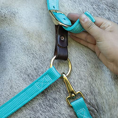 Dura-Tech Draft Horse Nylon Breakaway Turnout Halter Turnout Halter for Draft Horses | Enhanced Safety Breakaway Tab | Robust Nylon Construction