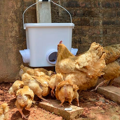 Automatic Chicken Feeder Set Hanging Chicken Feeder No Waste Poultry Feeder Kit 20lb Chicken Feed Container - color: white