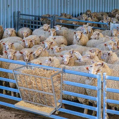2-in-1 Wall Mount Hay Feeder, Silver Grain Rack for Goats/Horses/Sheep - color: Silver