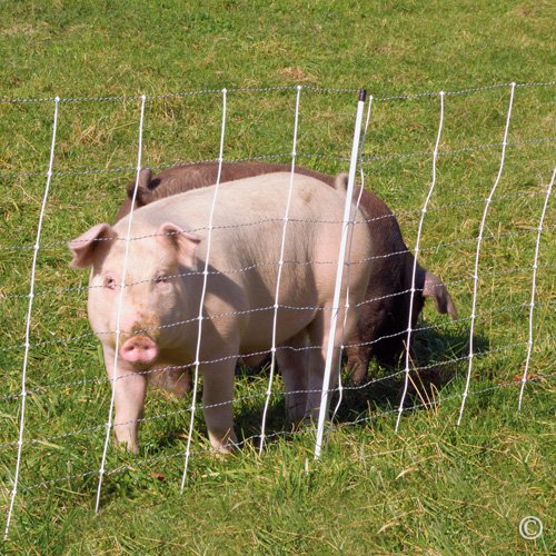 Premier 1 ElectroNet® Electric Fence for Sheep & Goats – 35"H x 164'L