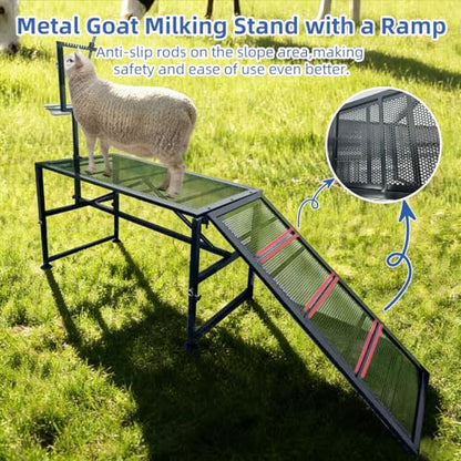 Heavy Duty Height-Adjustable Metal Goat Milking Stand with Ramp & Feed Bin, 600LBS Capacity Livestock Trimming Stand for Goats, Lambs & Sheep