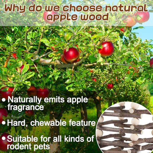 Hanging Apple Wood Rabbit Hay Feeder for Chinchilla Bunny Hamster Gerbil