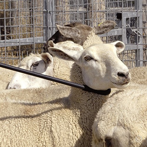 The "Premier" Fiberglass Neck Crook for Sheep & Goats, 53" | Molded plastic hook holds shape. Coated fiberglass withstands impacts. Catch sheep & goats by the neck.