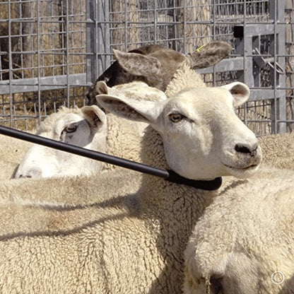 The "Premier" Fiberglass Neck Crook for Sheep & Goats, 53" | Molded plastic hook holds shape. Coated fiberglass withstands impacts. Catch sheep & goats by the neck.
