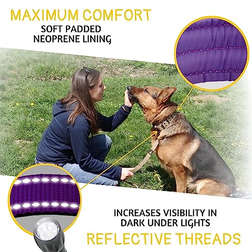 ADITYNA Heavy Duty Purple Dog Collar for Medium Dogs with Traffic Handle - color: Purple, size: Medium: Fit 15-19" Neck