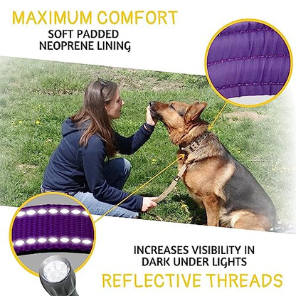 ADITYNA Heavy Duty Purple Dog Collar for Medium Dogs with Traffic Handle - color: Purple, size: Medium: Fit 15-19" Neck