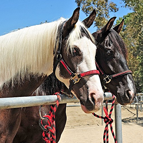 Injuries Preventing Tether Tie - Portable, Versatile & Reusable Breakaway Horse Tie, Quick Release Under Heavy Pressure w/ 5 Loop Settings, Multi-Purpose Clip (2 pcs Black) - color: Black