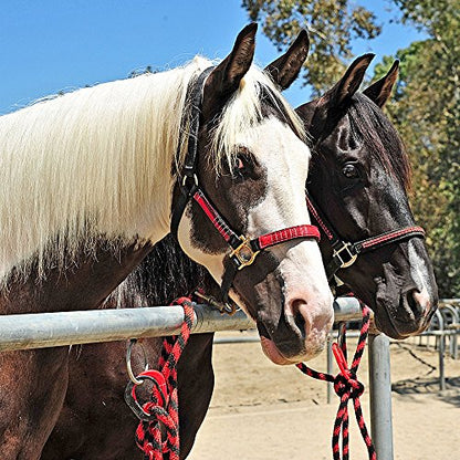 Injuries Preventing Tether Tie - Portable, Versatile & Reusable Breakaway Horse Tie, Quick Release Under Heavy Pressure w/ 5 Loop Settings, Multi-Purpose Clip (2 pcs Black) - color: Black
