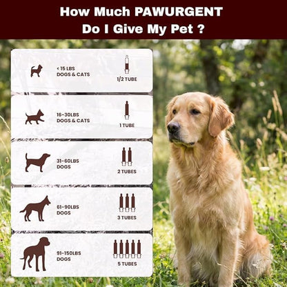 PawUrgent Activated Charcoal Gel for Dogs Poisoning,(2 Pack) 30cc Dog First Aid Activated Charcoal, Animal Use Only, Premium Pet Support for Pet Owners (2 Pack) - size: 2 pack