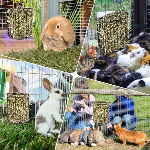 Bunny Hay Feeder, Semicircular Space-Saving Design, Black - size: Semicircular feeder