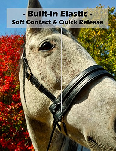 Classic - color: Black, size: Regular/Horse