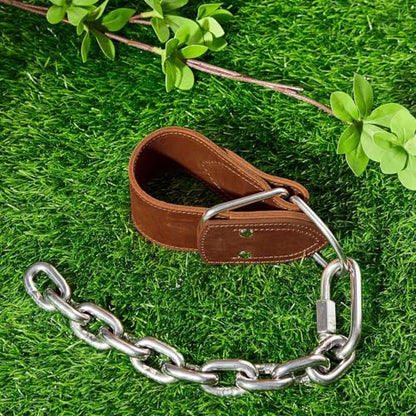 Horse Hobbles Kicking Chain, Leather Single Leg Hobble Heavy Duty Anti Kick Design, Stainless Steel Chain for Secure Horse Training & Grazing, for Stallions, Geldings, Mares