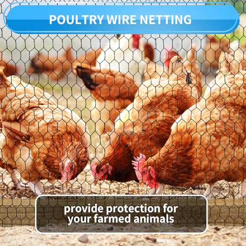 72'' x 150' Black Chicken Wire Fencing, 1 inch Chicken Wire and 19 Gauge Poultry Netting, Garden Mesh Fence Roll for Floral Arrangements/Crafts/Farm/Livestock/Pet Protection - size: 19 gauge 72'' x 150'