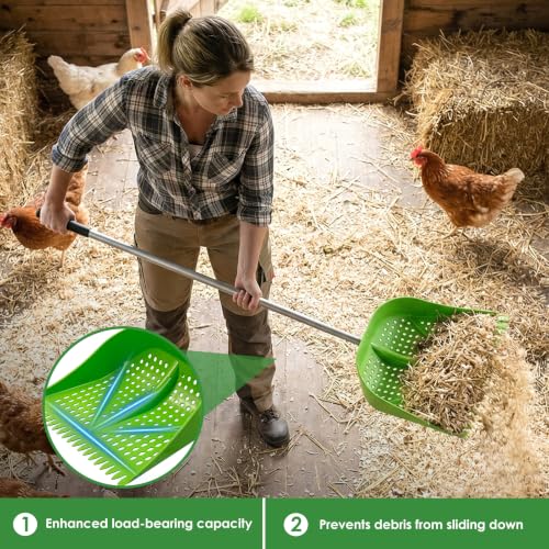 Thiswing Chicken Poop Scooper & Rake 2-in-1, Green