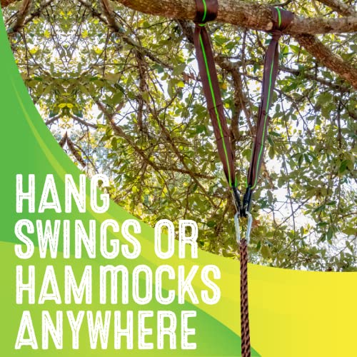 Swurfer Tree Swing Hammock Straps –Hanging Kit for Hammock, Tree Swings, Durable, Weatherproof, Rust Free, Secure Lock Snap Carabiners Included, Weight Limit 2200 lbs Per Strap (5 Feet - 2 Straps) - size: 5 Feet (2 Strap)