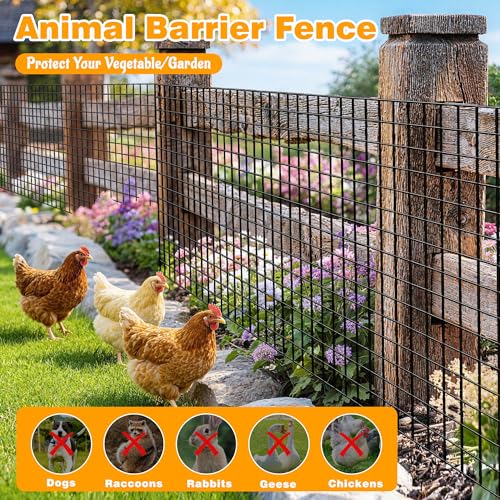 Black PVC Coated Welded Wire Fencing, 48in High x 100ft Long, 2 inch x 3 inch 16GA 2/3/4/5/6 Ft Tall Welded Wire Fence Rolls, Black Metal Garden Fence Wire Roll Garden Fencing for Yard - color: Black, size: 2"x3" 16GA 48" x 100'