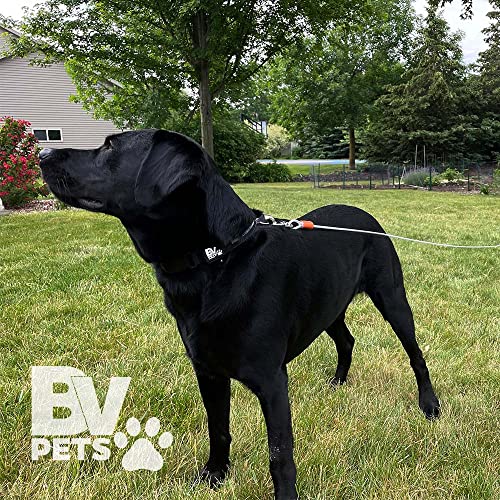 BV Dog Tie Out Cable 25 Feet - Heavy Duty Dog Lead up to 90 Pounds - Reflective & Rust-Free with Quick Release Swivel Clips & 360° Rotating Clasp - Tangle-Free Dogs Runner for Yard (Silver, Single) - color: 90lbs/ 25ft/ Silver, style: Single