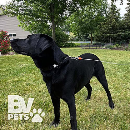 BV Dog Tie Out Cable 25 Feet - Heavy Duty Dog Lead up to 90 Pounds - Reflective & Rust-Free with Quick Release Swivel Clips & 360° Rotating Clasp - Tangle-Free Dogs Runner for Yard (Silver, Single) - color: 90lbs/ 25ft/ Silver, style: Single