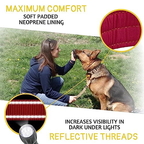 ADITYNA Heavy Duty Dog Collar for Medium Dogs with Traffic Handle - color: Burgundy, size: Medium: Fit 15-19" Neck
