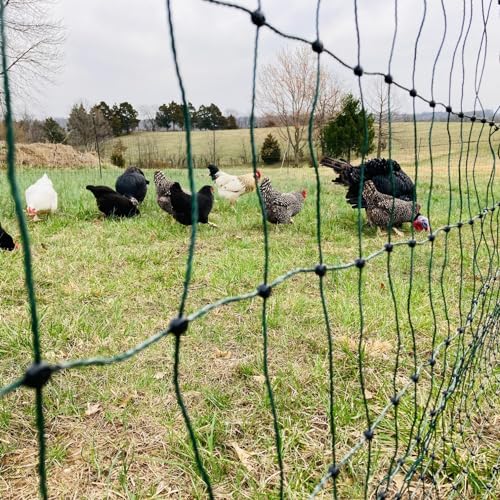 Fence Energizer with Electric Poultry Netting