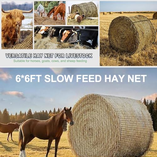 6x6 ft Bale Hay Net for Horses Round/Square, 1.7 inch Hole Knotless Livestock Slow Feeder Hay Storage Net for Horses, Cattle, Sheep in Farms (Round) - style: Round