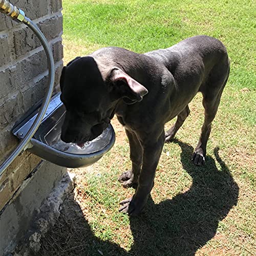 Automatic Livestock Waterer for Cattle, Dogs, Chicken, 304 Stainless Steel