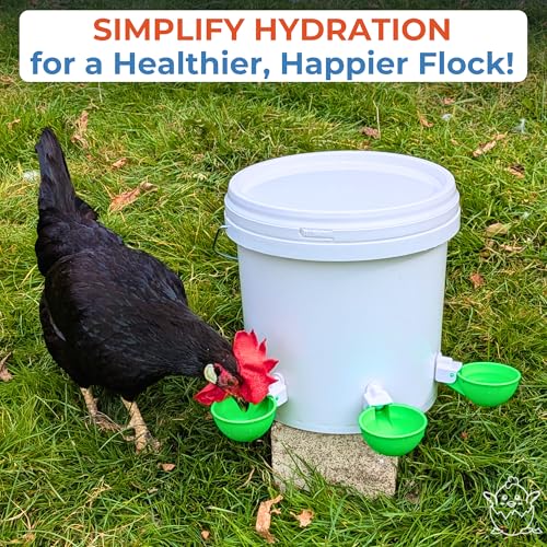 Lil'Clucker - Large Automatic Chicken Waterer Cups Suitable for Ducks, Geese, Turkeys, and Bunny Rabbit - Water Feeder Kit - Poultry Waterer (Green, 5 Pack) - color: Green, size: 5 Pack