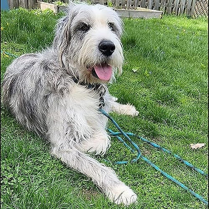 50FT Dog Tie-Out Rope + Bungee Dog Leash Extension
