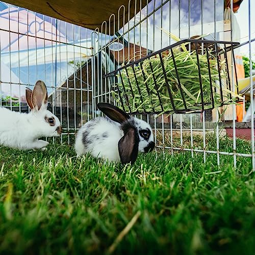 Therwen 4 Pcs Rabbit Hay Feeder Guinea Pig Heavy Duty Metal Frame Hay Rack with Hooks Cage Hanging Holder for Bunny Chinchilla Small Animals Accessories(9.8 x 5.1 x 3.5 Inches) - size: 9.8 x 5.1 x 3.5 Inches