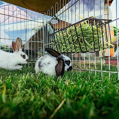Therwen 4 Pcs Rabbit Hay Feeder Guinea Pig Heavy Duty Metal Frame Hay Rack with Hooks Cage Hanging Holder for Bunny Chinchilla Small Animals Accessories(9.8 x 5.1 x 3.5 Inches) - size: 9.8 x 5.1 x 3.5 Inches