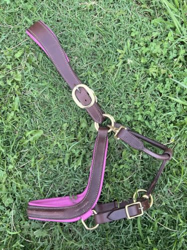 Leaders Padded Curved Leather Halter with Customized Engraved Name Plate Ergonomic Leather Halter for Horses - size: Horse Brown/Pink